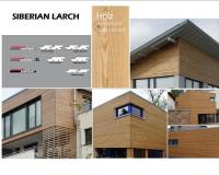 SIBERIAN LARCH.opt800x565o0,0s800x565